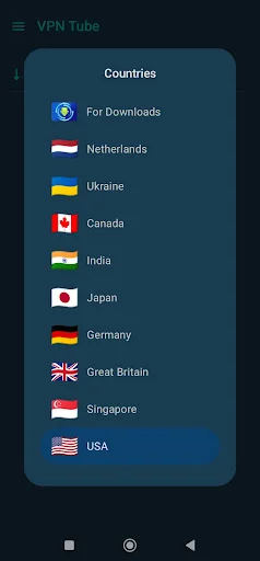 VPN Tube (Pro) ডাউনলোড করুন – দ্রুত এবং নিরাপদ ইন্টারনেট ব্রাউজিং - Screenshot 8