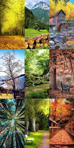 Nature Escape HD Wallpapers ডাউনলোড করুন – সেরা প্রাকৃতিক দৃশ্য - Screenshot 7