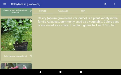 Herbal Remedies ডাউনলোড করুন – ভেষজ উদ্ভিদ ও গুণাগুণ জানুন - Screenshot 4