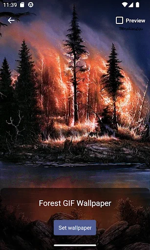 Forest GIF Wallpaper ডাউনলোড করুন – সেরা লাইভ ওয়ালপেপার ও GIF - Screenshot 4
