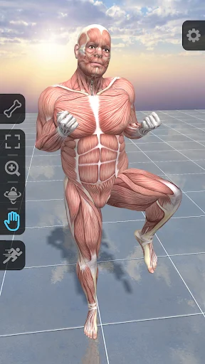 Pro Poser 3D Model Poses ডাউনলোড করুন – সেরা অ্যানাটমি টুল - Screenshot 3