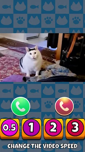 Meme Cat Sim: Cozy Home ডাউনলোড করুন – ভার্চুয়াল বিড়াল ও মজার মিমস - Screenshot 3