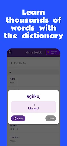 Learning Kurdish ডাউনলোড করুন – সহজে কুর্দি ভাষা শিখুন - Screenshot 4