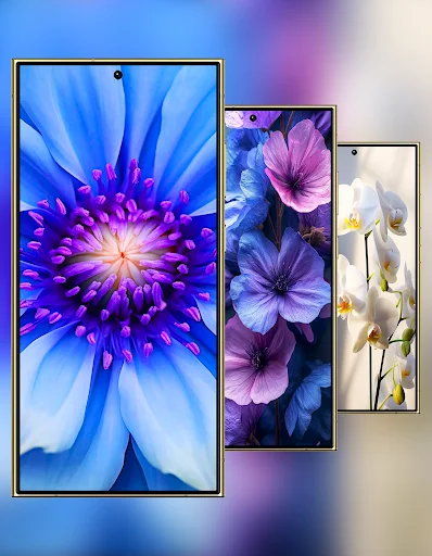 Galaxy S24 Ultra Wallpaper ডাউনলোড করুন – সেরা HD ওয়ালপেপার - Screenshot 12