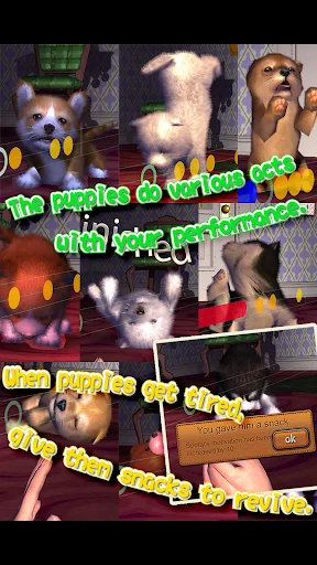 Animal Dance puppies ডাউনলোড করুন – মিউজিক ও ভার্চুয়াল পেট গেম - Screenshot 27