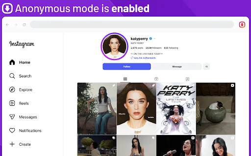 Instagram Stories ডাউনলোড করুন – গোপনে দেখুন ও সেভ করুন - Screenshot 3