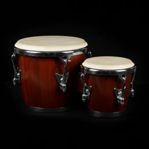 Bongo Drum Sounds ডাউনলোড করুন – সেরা বংগো রিদেম ও রিংটোন