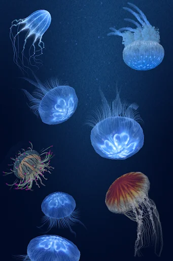 Jellyfish Heaven ডাউনলোড করুন – রিলাক্সিং জেলিফিশ অ্যানিমেশন - Screenshot 6