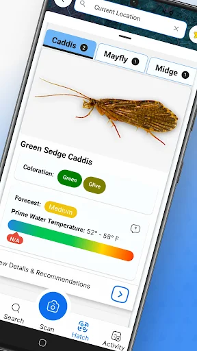 IdentaFly ডাউনলোড করুন – ফ্লাই ফিশিং এবং মাছ ধরার কৌশল - Screenshot 2
