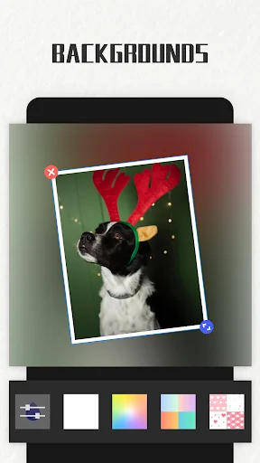 Photo Collage Maker ডাউনলোড করুন – সেরা ফটো এডিটর ও কোলাজ মেকার - Screenshot 13