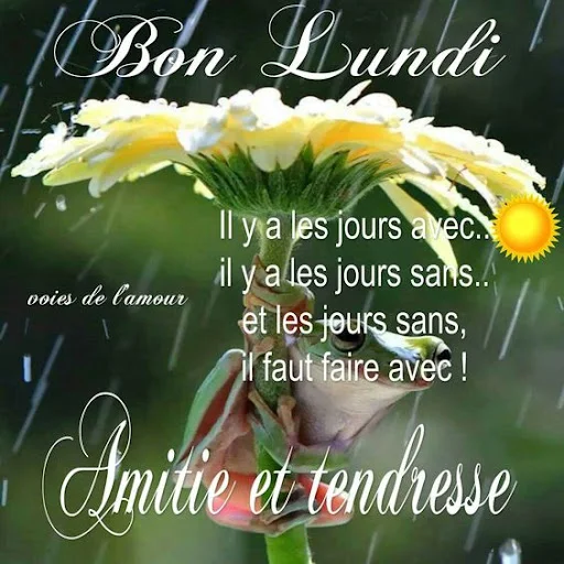 Bonjour Wallpaper ডাউনলোড করুন – প্রতিদিন নতুন এইচডি ওয়ালপেপার - Screenshot 4