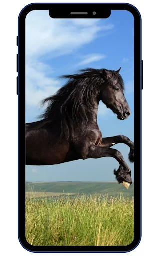 Horse Wallpapers ডাউনলোড করুন – সেরা 4K এইচডি ঘোড়ার ওয়ালপেপার - Screenshot 2
