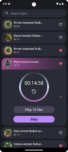 Bulbul Bird Sounds ডাউনলোড করুন – সেরা পাখির ডাক ও রিংটোন - Screenshot 3