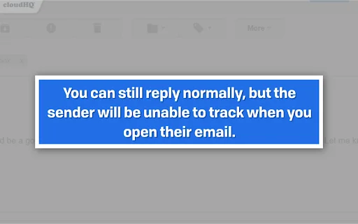 Email Privacy Protector ডাউনলোড করুন – জিমেইল ট্র্যাকিং ব্লক করুন - Screenshot 3