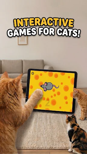 Games for Cats ডাউনলোড করুন – আপনার বিড়ালের জন্য সেরা গেম - Screenshot 1