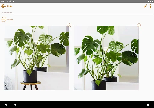 Photo Notes Plus ডাউনলোড করুন – ছবিসহ নোট রাখার সেরা অ্যাপ - Screenshot 10