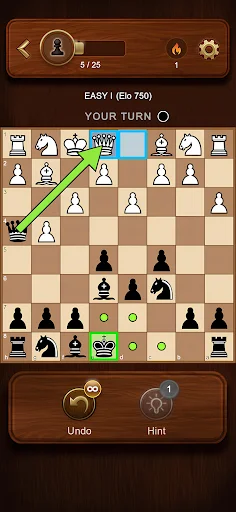 Chess Master: Board Game ডাউনলোড করুন – সেরা দাবা খেলা - Screenshot 19