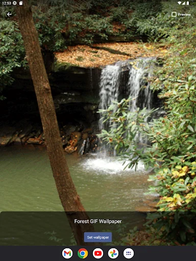 Forest GIF Wallpaper ডাউনলোড করুন – সেরা লাইভ ওয়ালপেপার ও GIF - Screenshot 9
