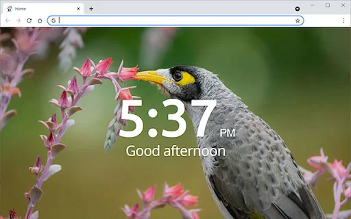 Home page by Scott ডাউনলোড করুন – প্রতিদিন নতুন সুন্দর ফটোগ্রাফি - Screenshot 1