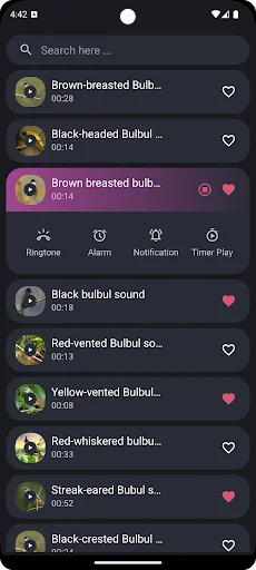 Bulbul Bird Sounds ডাউনলোড করুন – সেরা পাখির ডাক ও রিংটোন - Screenshot 2
