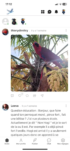 Oiseaux2France ডাউনলোড করুন – পাখি প্রেমীদের জন্য সেরা সামাজিক প্ল্যাটফর্ম - Screenshot 2
