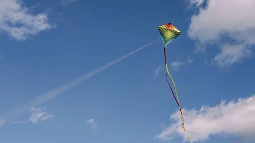 Kite Flying 2025 ডাউনলোড করুন – সেরা কাইট গেম ফ্রি ডাউনলোড - Screenshot 1