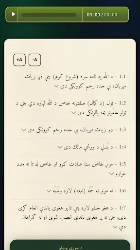 Quran Pashto ডাউনলোড করুন – পশতু অনুবাদসহ পবিত্র কুরআন ও দোয়া - Screenshot 2