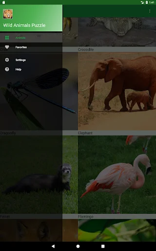 Wild Animals Puzzle ডাউনলোড করুন – বন্যপ্রাণীর মজার পাজল গেম - Screenshot 19