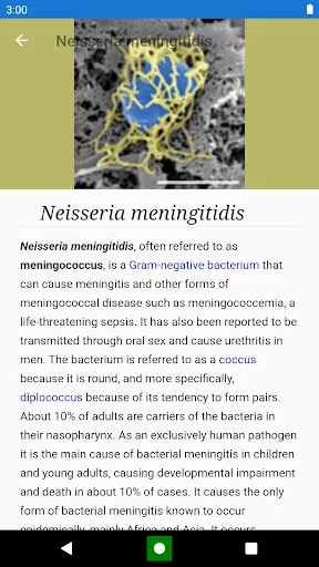 Bacteria: Types, Infections ডাউনলোড করুন – মাইক্রোবায়োলজি শিখুন - Screenshot 6