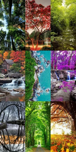 Nature Escape HD Wallpapers ডাউনলোড করুন – সেরা প্রাকৃতিক দৃশ্য - Screenshot 24