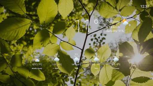 Vista Weather TV Screensaver ডাউনলোড করুন – আবহাওয়ার সাথে সুন্দর দৃশ্য - Screenshot 15