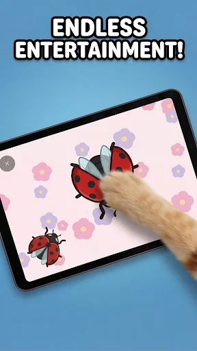 Games for Cats ডাউনলোড করুন – আপনার বিড়ালের জন্য সেরা গেম - Screenshot 4