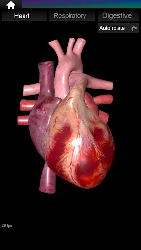 Internal Organs in 3D Anatomy ডাউনলোড করুন – সেরা অ্যানাটমি অ্যাপ - Screenshot 24