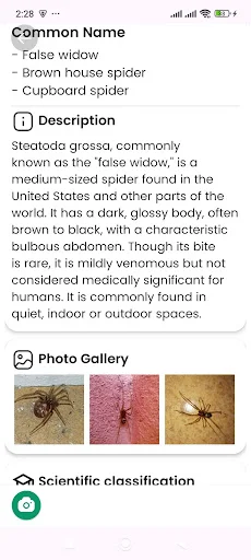 Spider Identifier ডাউনলোড করুন – মাকড়সার নাম শনাক্ত করুন - Screenshot 17