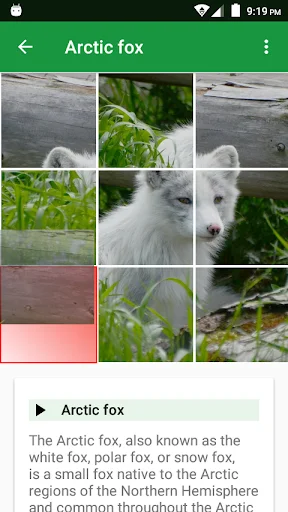 Dogs Puzzle ডাউনলোড করুন – সেরা ডগ পাজল গেম ফ্রি ডাউনলোড - Screenshot 2