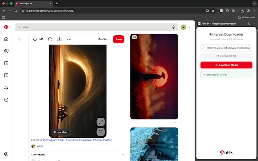 PinFlik – Pinterest থেকে ভিডিও, ইমেজ ও GIF ডাউনলোড করুন - Screenshot 5