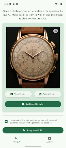 Antiques Analyzer ডাউনলোড করুন – AI এর মাধ্যমে অ্যান্টিক চিনুন ও মূল্যায়ন করুন - Screenshot 2