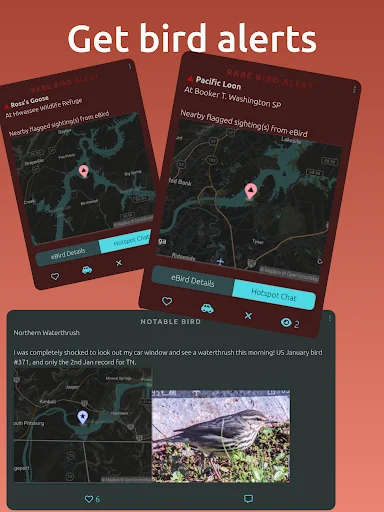 BirdingApp ডাউনলোড করুন – দুর্লভ পাখির আপডেট ও বার্ডারদের সাথে সংযোগ - Screenshot 12