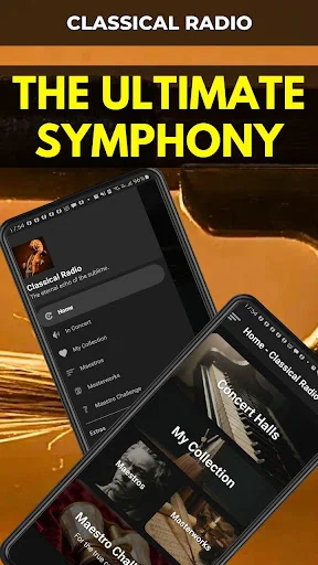 Classical Music Radio Live ডাউনলোড করুন – সেরা ক্লাসিক্যাল মিউজিক অ্যাপ - Screenshot 1