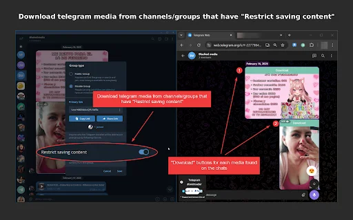 Telegram Downloader: Save Restricted Media & Files Easily - Screenshot 1